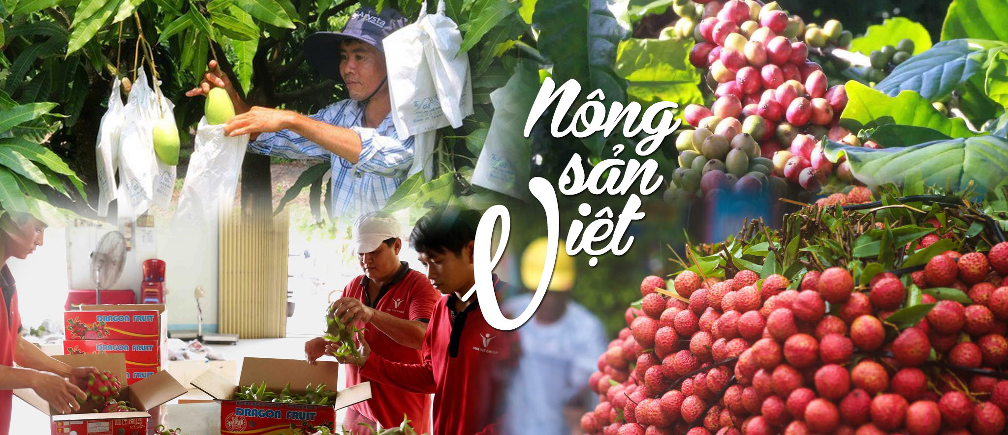 Chợ Nông Sản Online promo