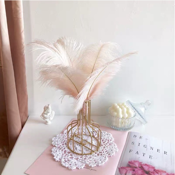 Lông Vũ  Trang Trí Bình Hoa