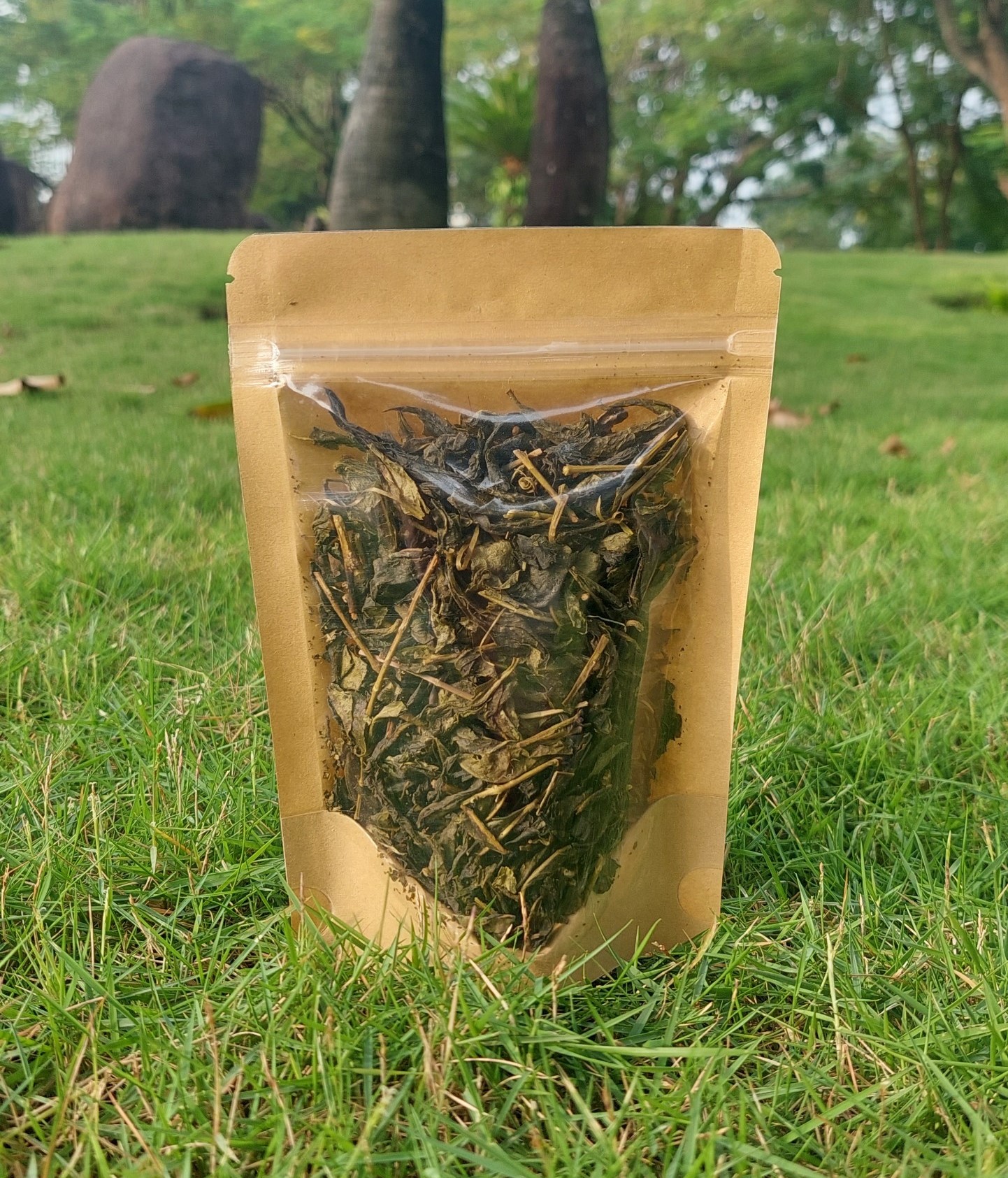 Trà Xanh Sấy Khô (20g)