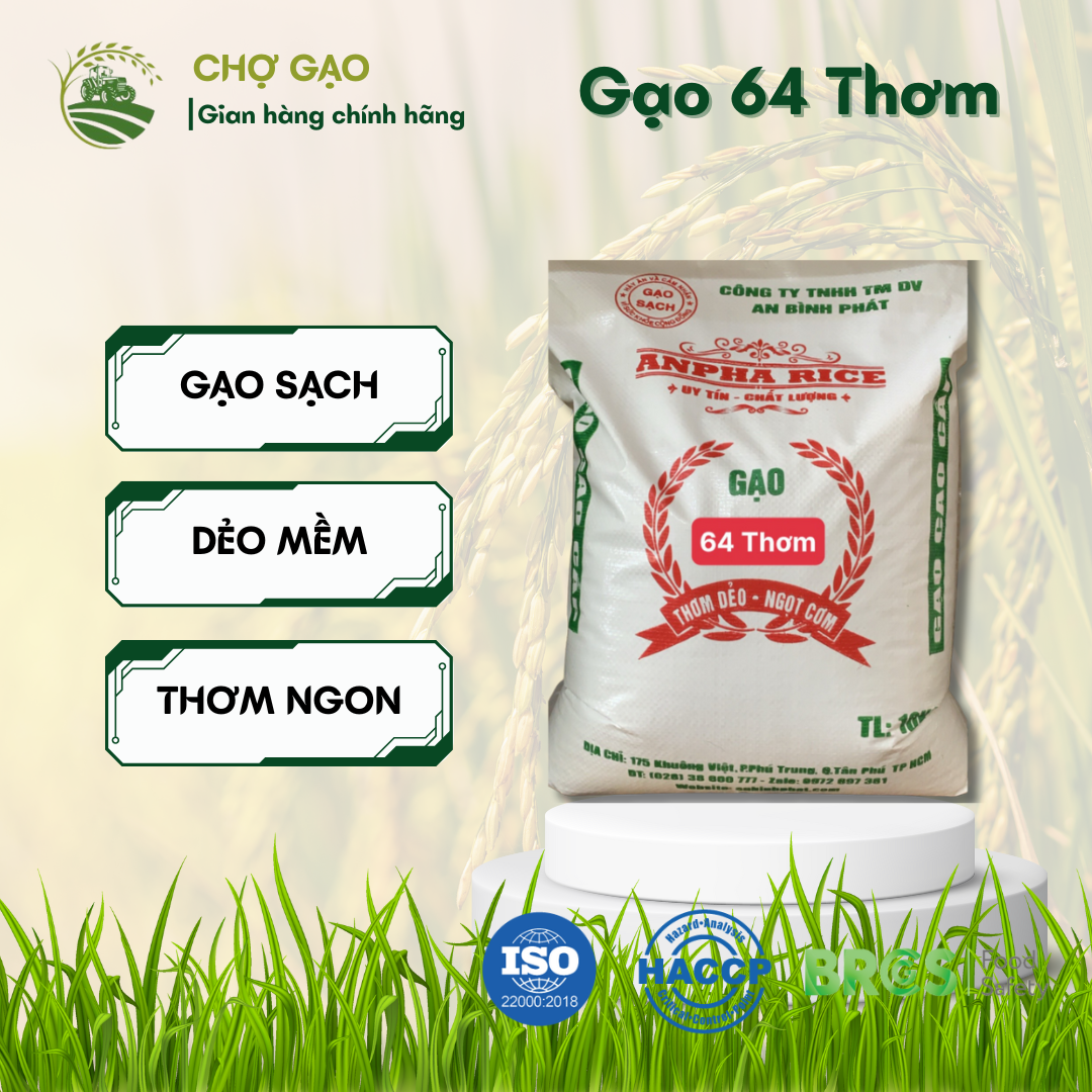 Gạo 64 Thơm