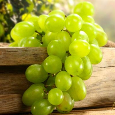 Nho xanh nhập khẩu