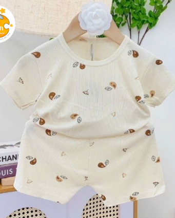 Bộ Đồ Ở Nhà Cho Bé, Đồ Bộ Họa Tiết Gấu