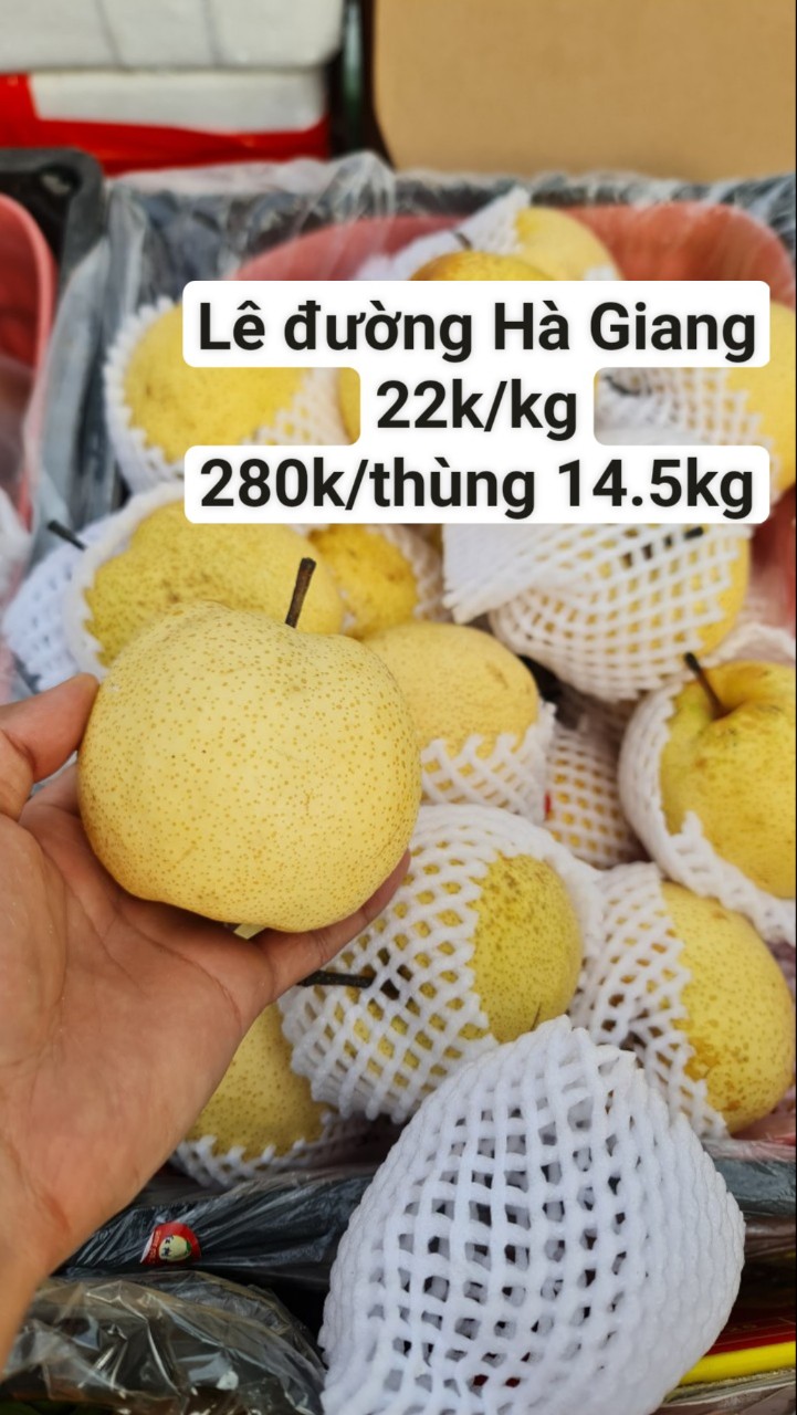 Lê đường Hà GIang