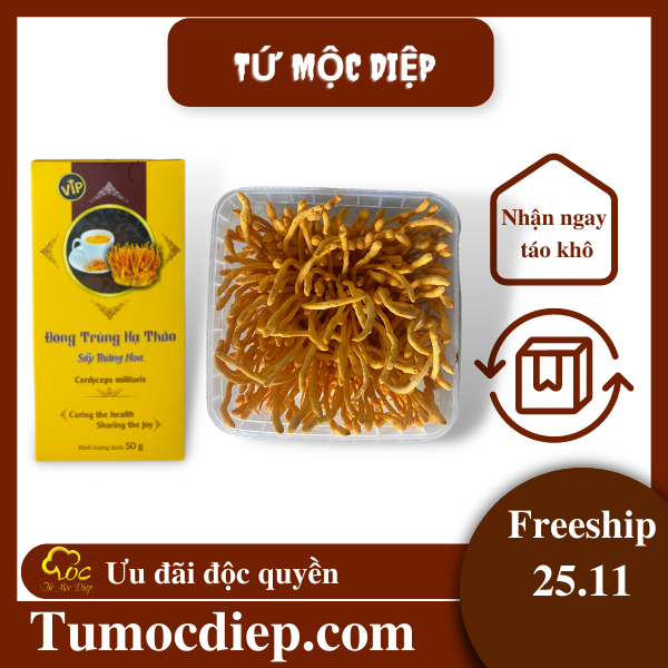 Combo 50g đông trùng hạ thảo khô và 200g đông trùng hạ thảo tươi Tứ Mộc Diệp giúp bồi bổ cơ thể