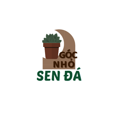 Góc Nhỏ Sen Đá