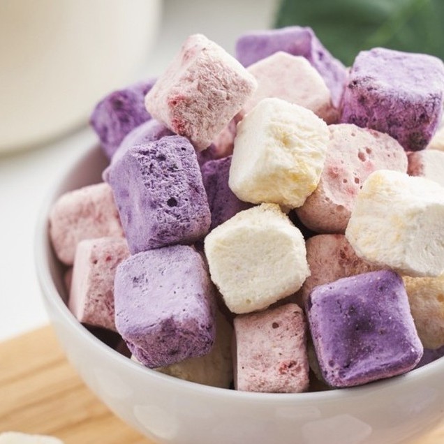 Sữa chua sấy khô bốn vị trái cây-100g