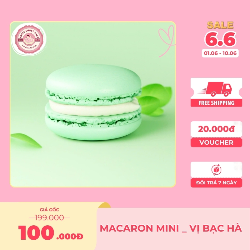 Macaron mini size_Vị bạc hà_Happy Sweet Cake_Hộp 30/100 viên