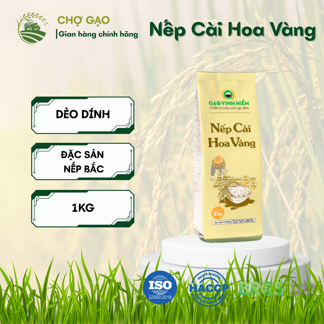 Nếp Cài Hoa Vàng Vinh Hiển 1kg
