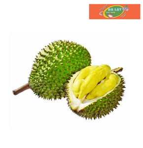 Sầu riêng mini Thái