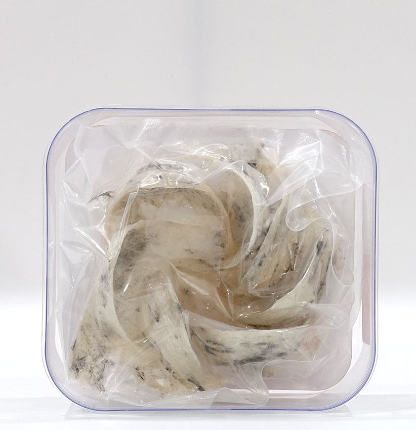 Yến nhà thô tổ nhỏ 50gr