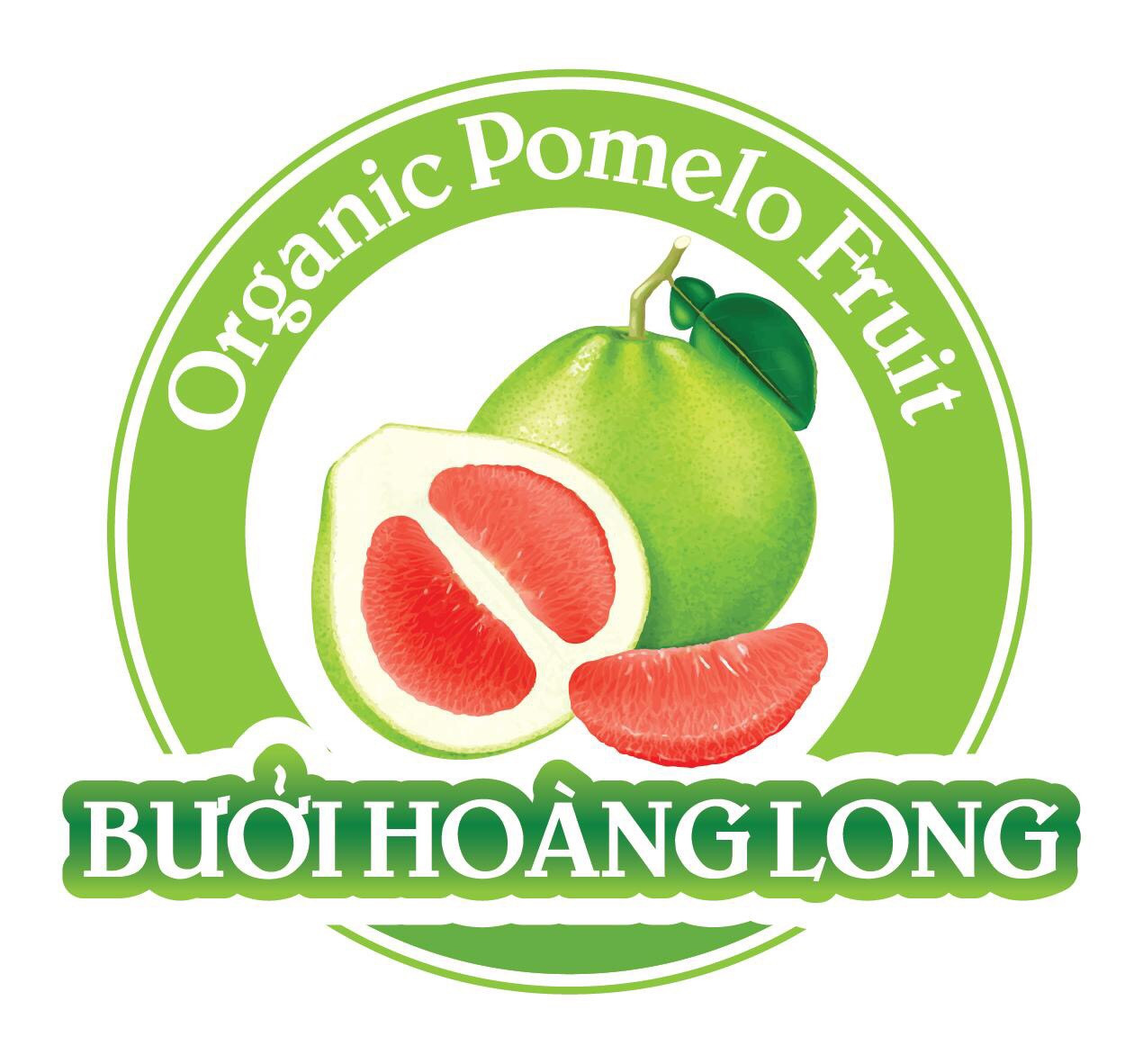 Công ty TNHH bưởi da xanh Hoàng Long