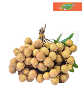 Nhãn lồng cà mau