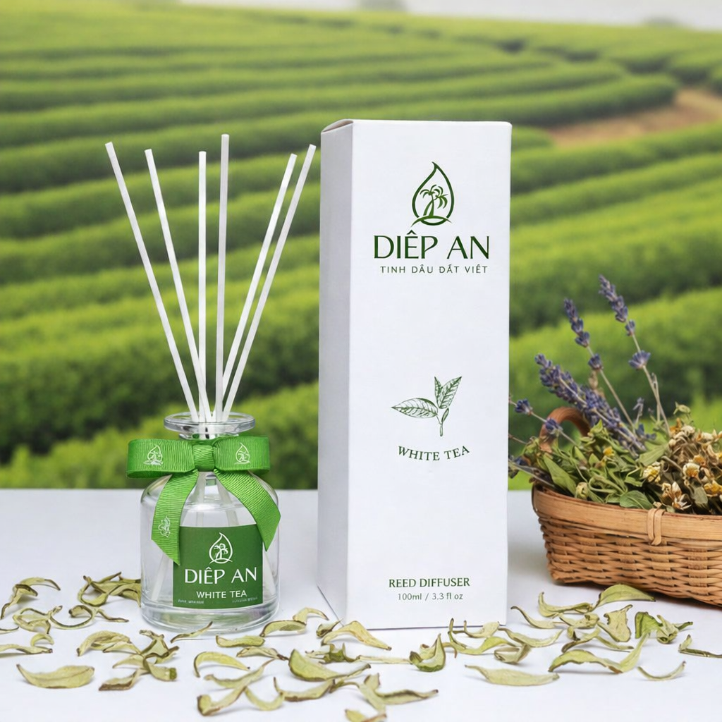 Lọ Tinh Dầu Cắm Khuyết Tán 100ml Hương Trà