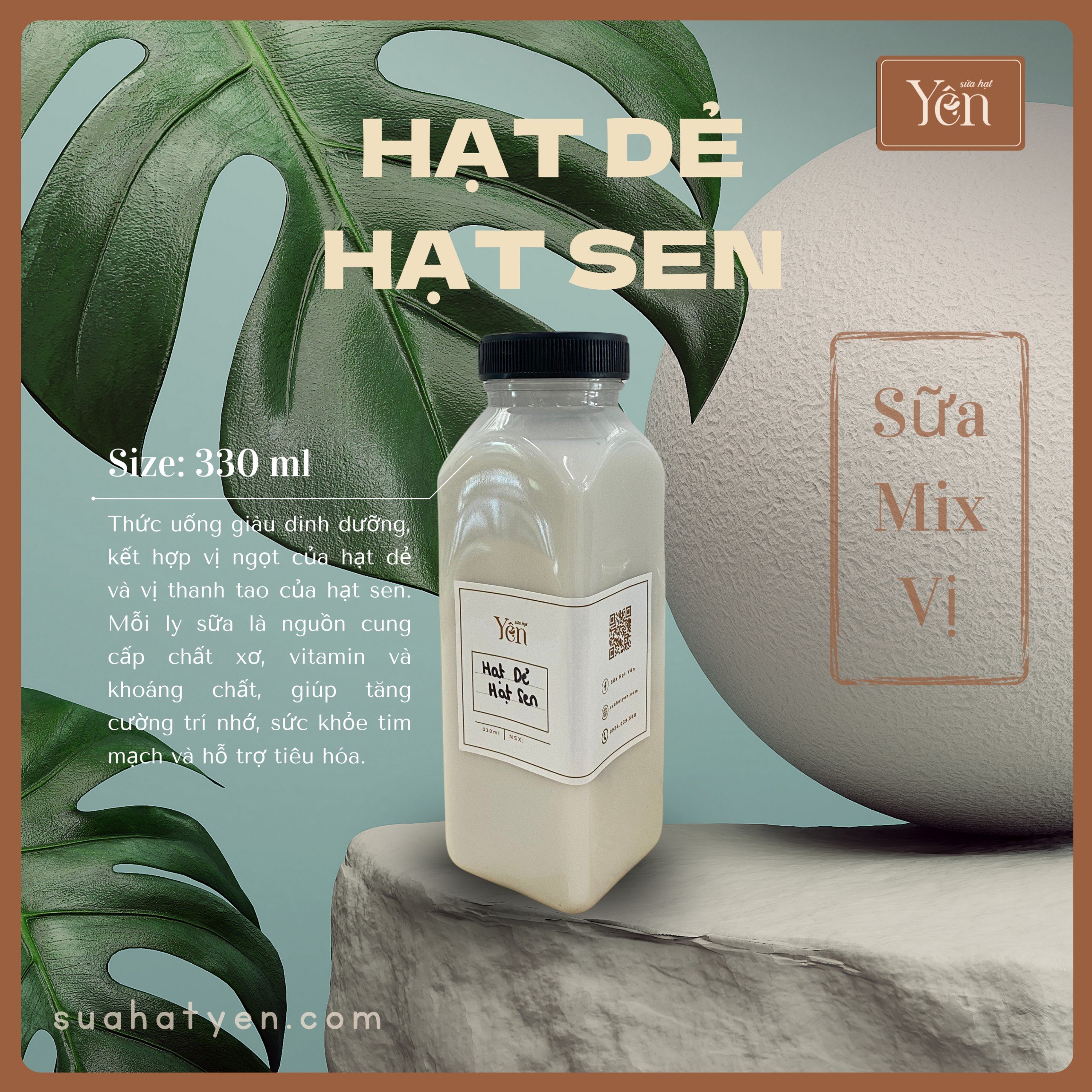 Sữa Hạt Dẻ - Hạt Sen
