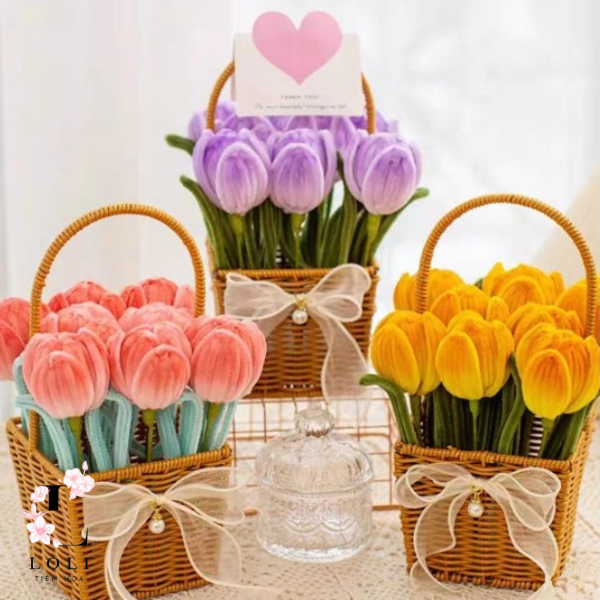 Hoa Kẽm Nhung Tulip