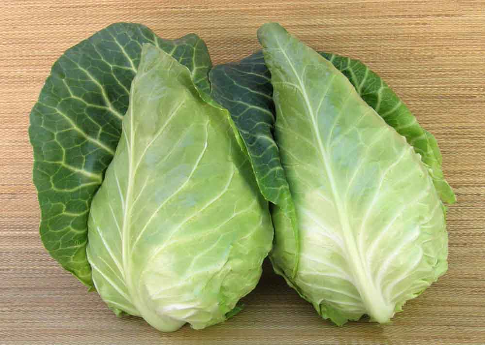Bắp Cải Trái Tim (Sú Tim Đà Lạt) Tươi Ngon