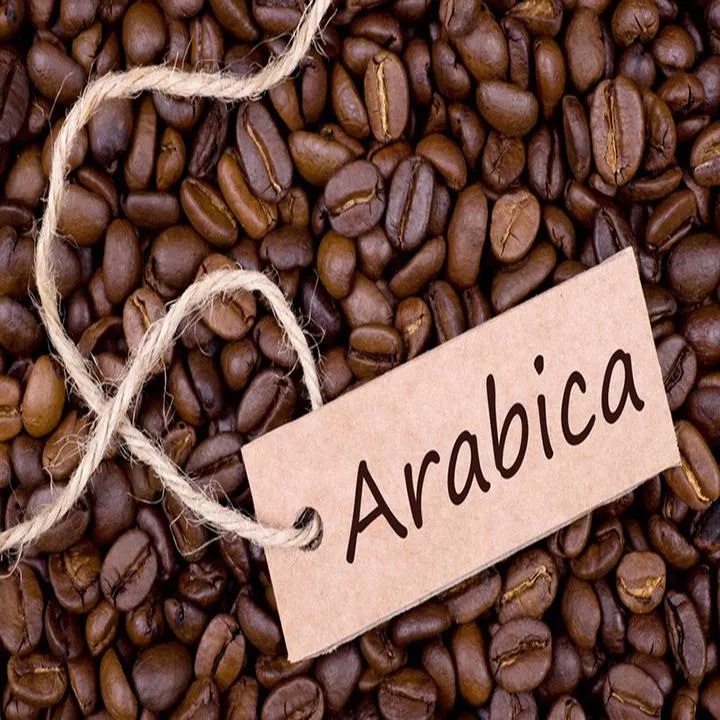 Cà Phê Arabica - Culi