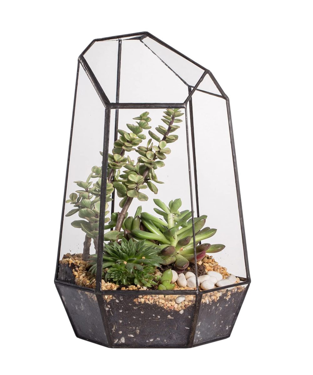 Hộp kính đa giác