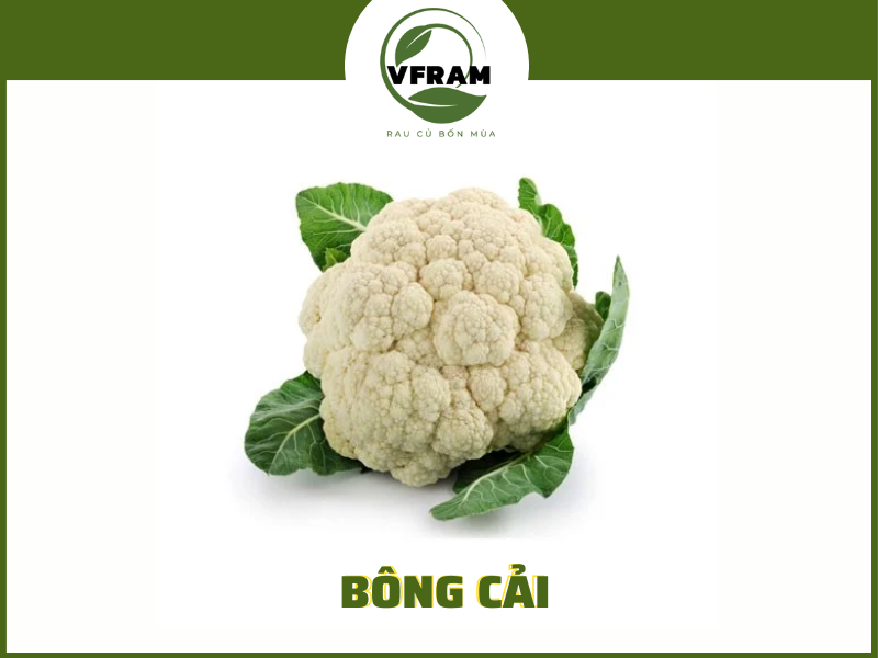 Bông Cải