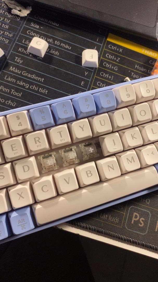 Switch Outemu Silent không gây tiếng ồn cho bàn phím cơ