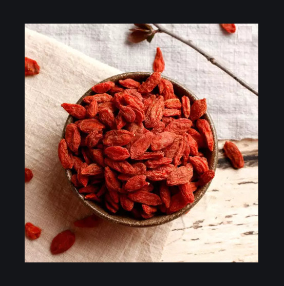 Kỉ Tử Tân Cương