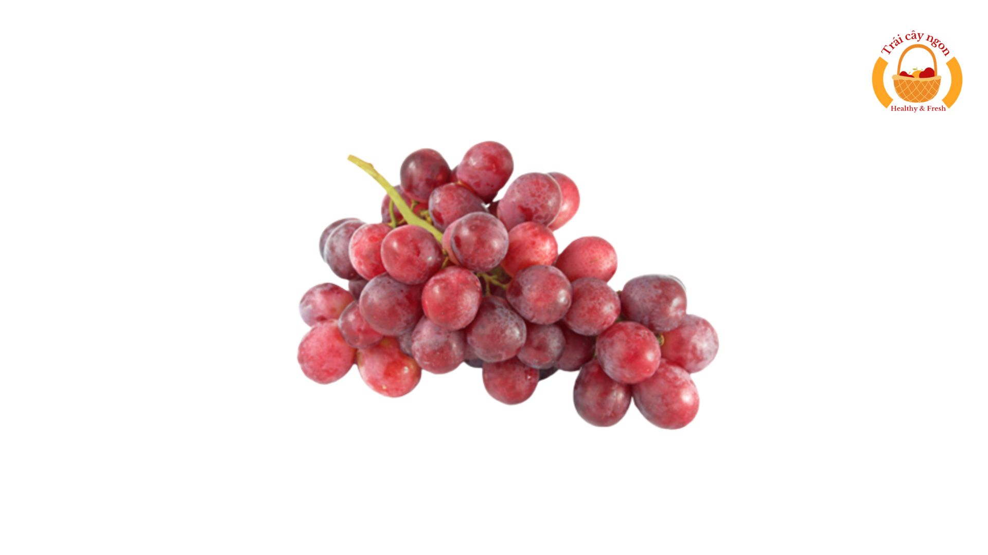 Nho Tươi Phan Rang