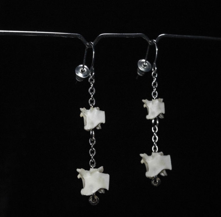 Khuyên tai RADIATUS