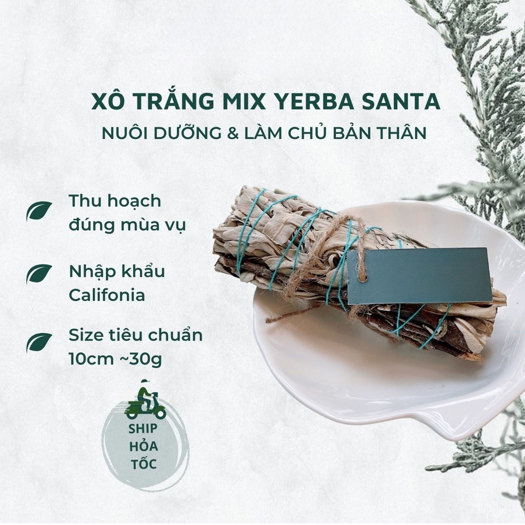Xô thơm trắng Yerba Santa nuôi dưỡng tình yêu, làm chủ hạnh phúc