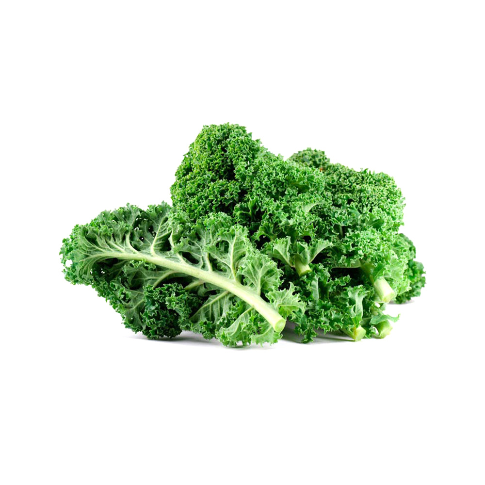 Cải Kale Đà Lạt tươi sạch - phù hợp salad, nước ép, eat clean