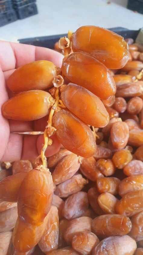 Chà Là Sấy - 500g