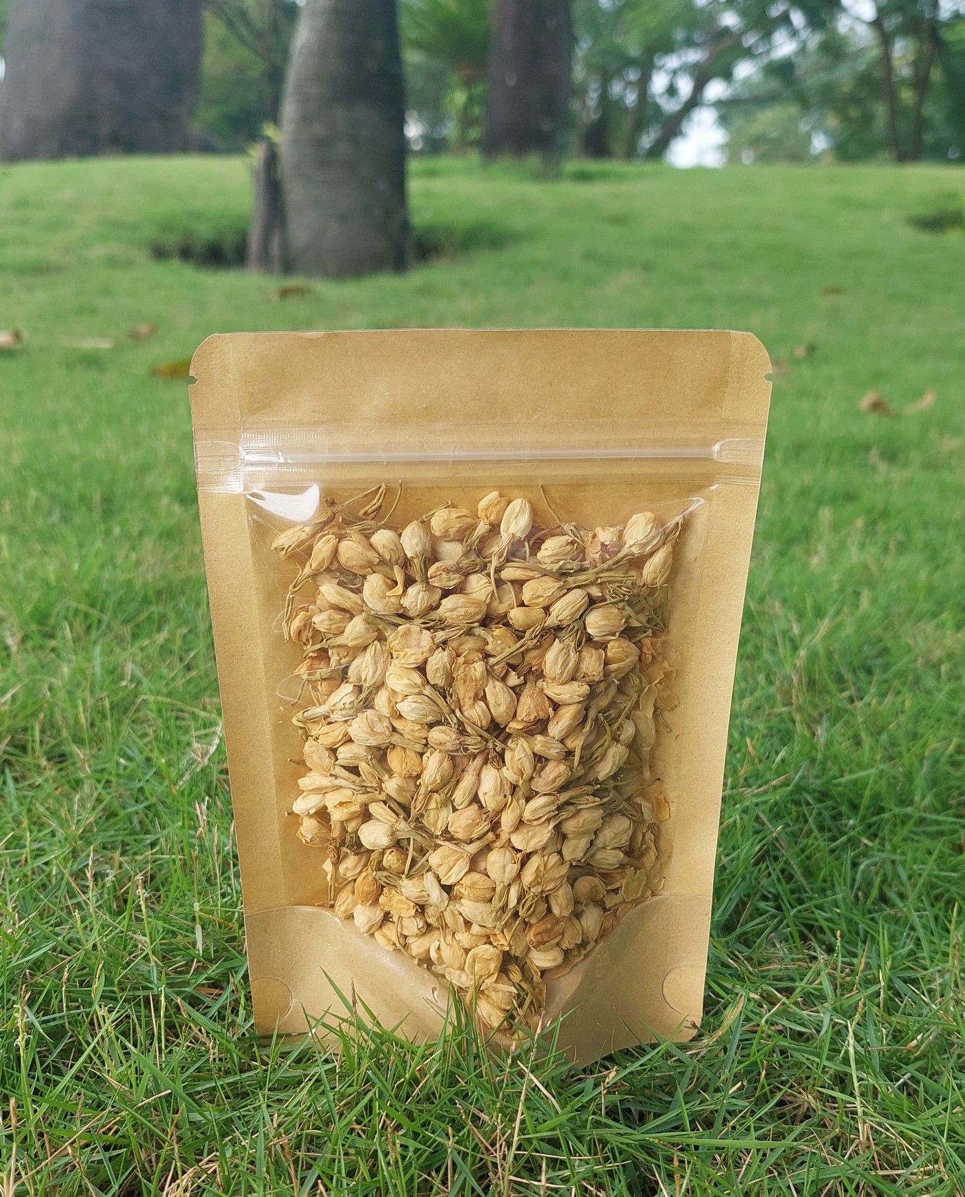 Trà Hoa Nhài (20g)