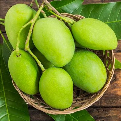 Xoài tứ quý L1 Việt Nam