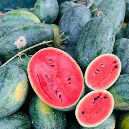 Dưa Hấu Đỏ Long An