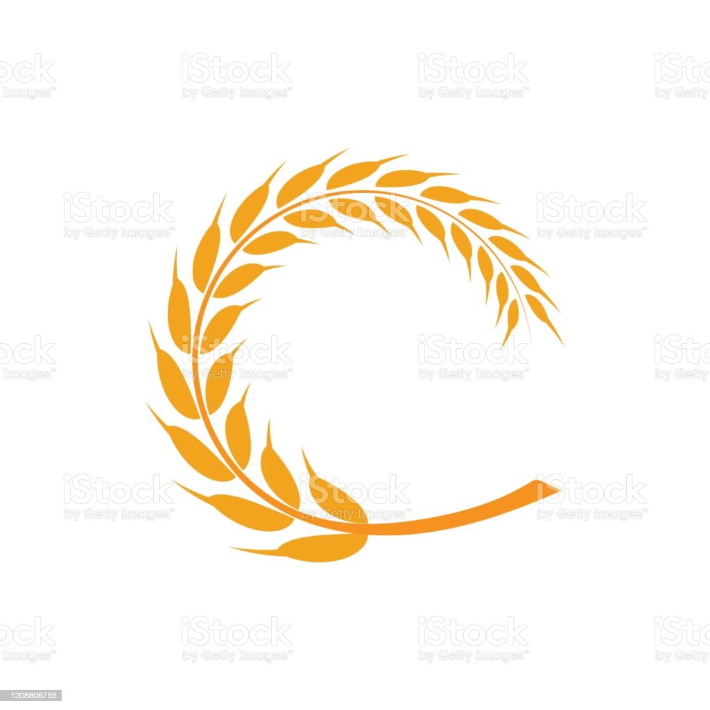 Gạo Sạch Việt Nam