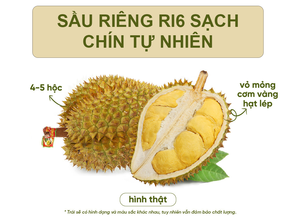 Sầu riêng Ri 6 trái 2kg - 2.3kg