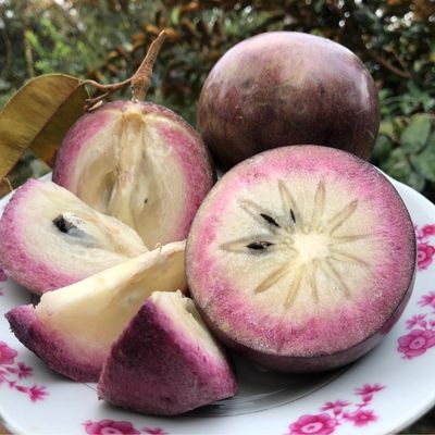 Vú sữa bơ hồng