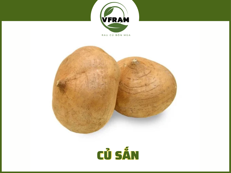 Củ Sắn