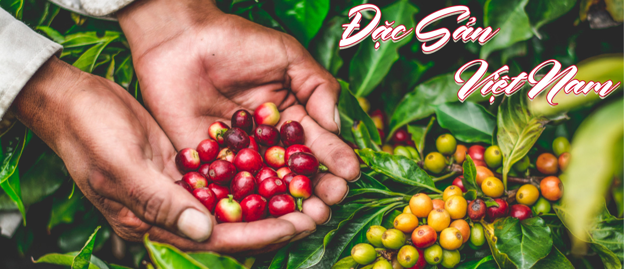Chợ Nông Sản Online promo