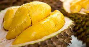 Sầu Riêng Đăk Lăk