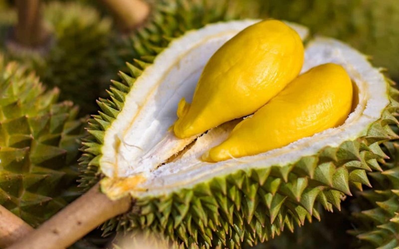 Sầu riêng Musang King