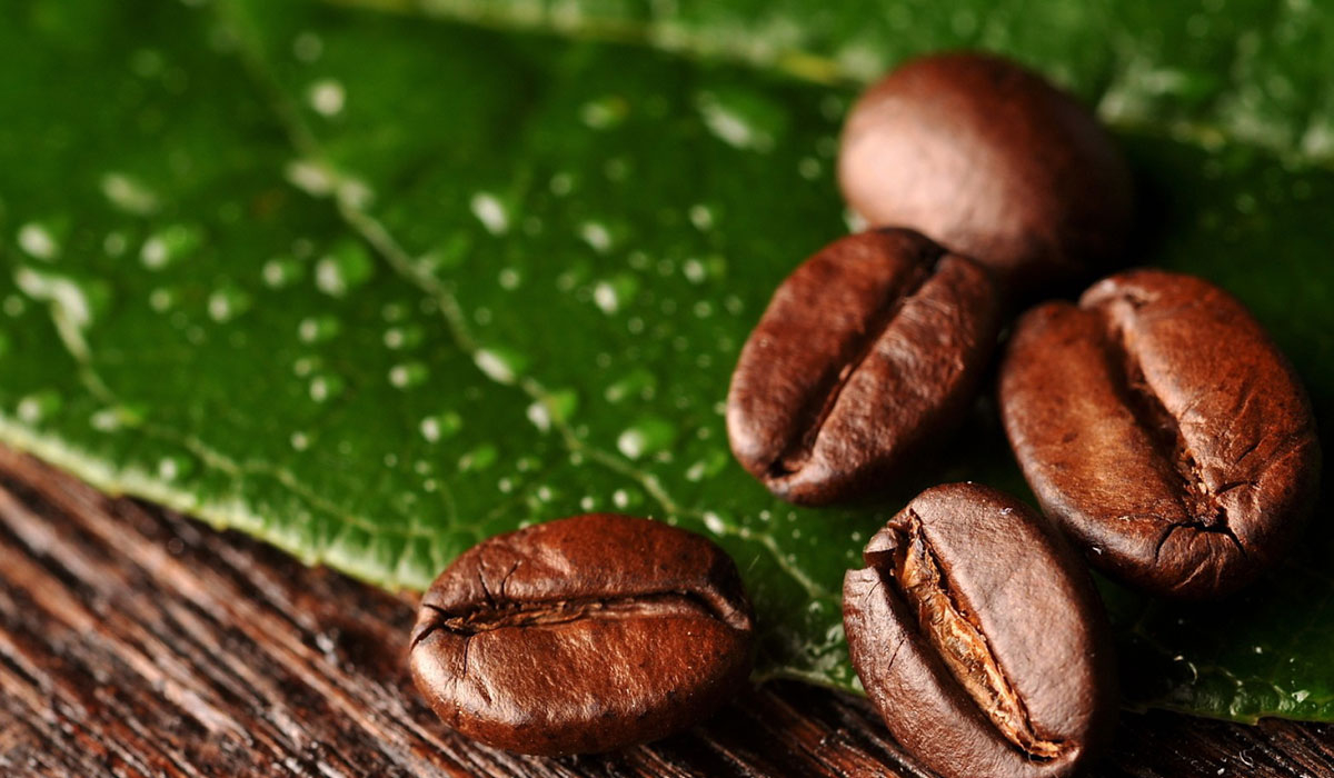 Cà phê nguyên chất Buôn Ma Thuột