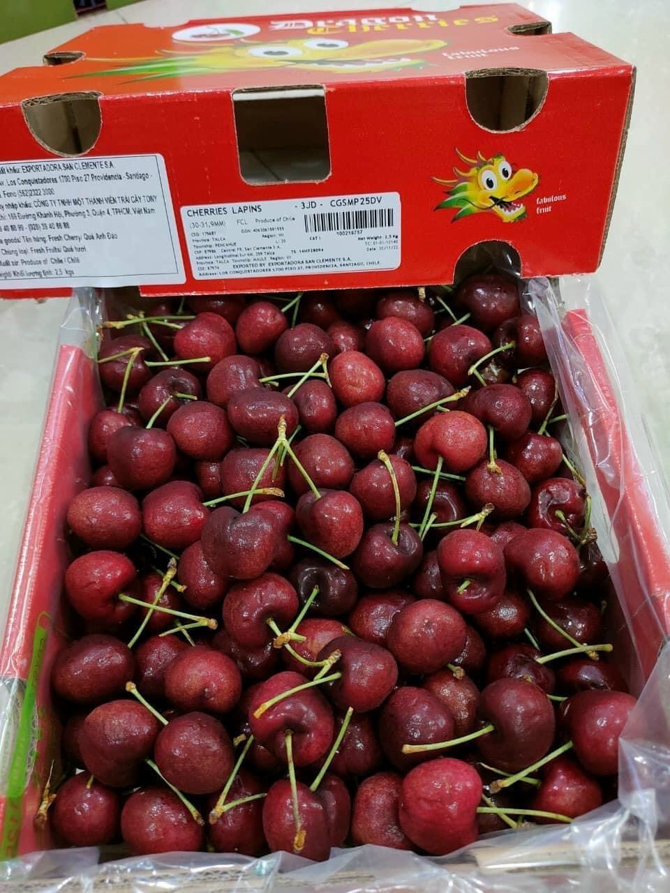 Cherry Rồng Chile