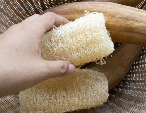 [Nắng Family] Miếng rửa bát / Miếng rửa chén xơ mướp tự nhiên