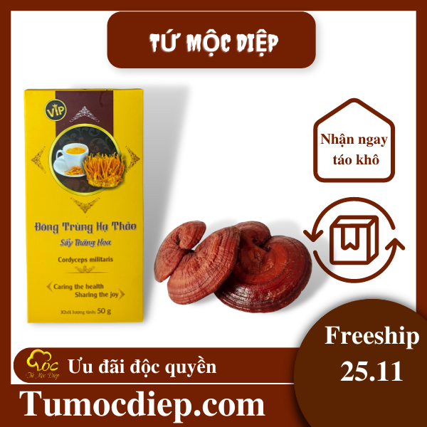 Combo 50g nấm đông trùng hạ thảo khô và 500g nấm linh chi Tứ Mộc Diệp giúp bồi bổ cơ thể
