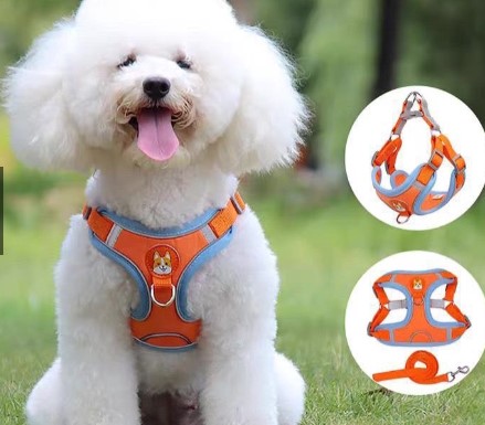 Dây dắt thú cưng phản quang thoáng khí