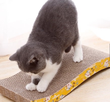 Bàn Cào Móng Cho Mèo