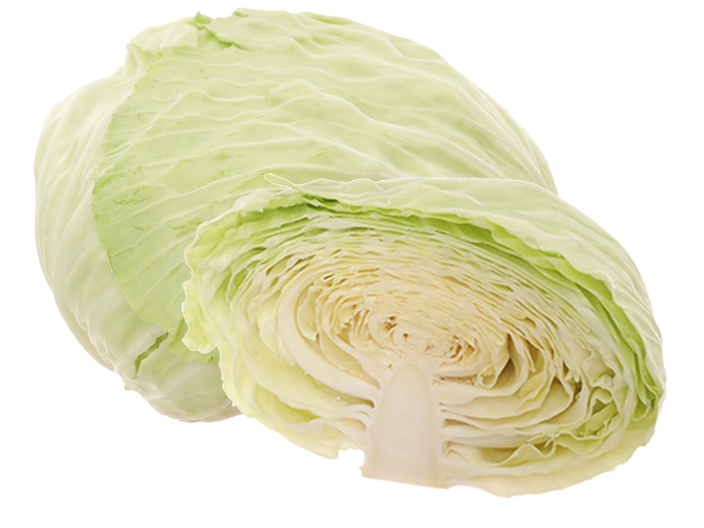 Bắp cải trắng
