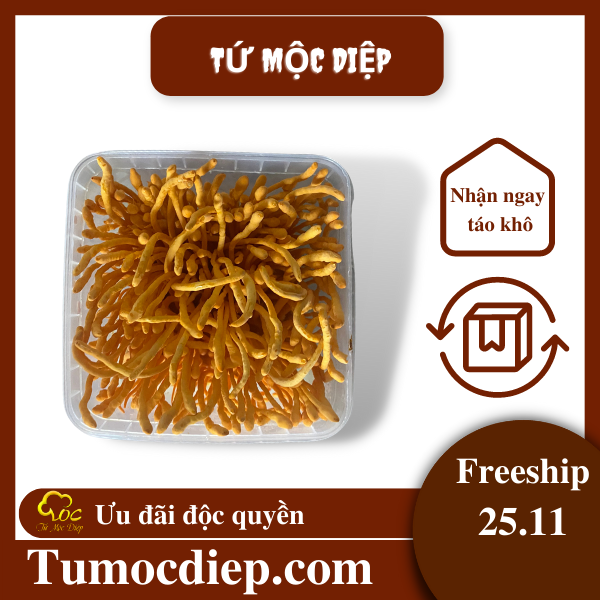 Đông trùng hạ thảo tươi Tứ Mộc Diệp giúp bồi bổ cơ thể