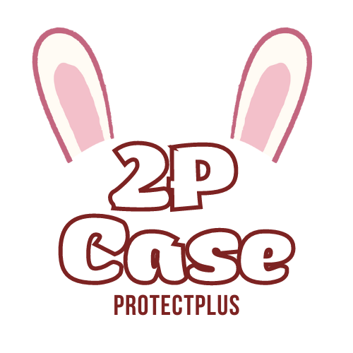 2P Case
