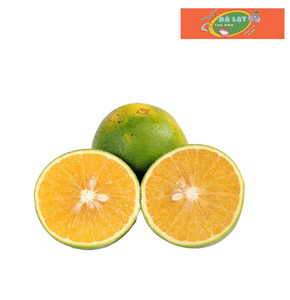 Cam xoàn Vĩnh Long